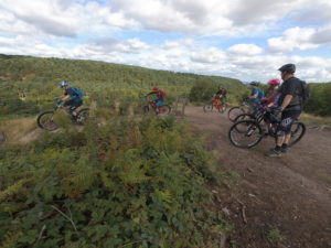 Wild Bikes Mountain Bikes do Cannock Chase Monkey Trail